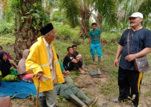 Tangani Konflik Satwa, BKSDA Datangkan Pawang Harimau ke Langkahan